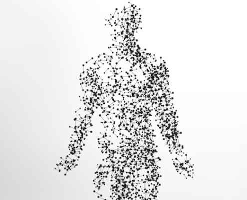body sds