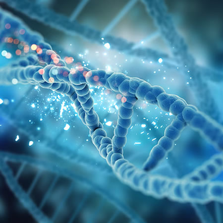 DNA blueprint