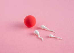 Fertilitet alternativ-behandling