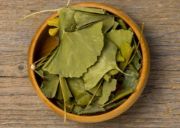 Gingko Bilopa