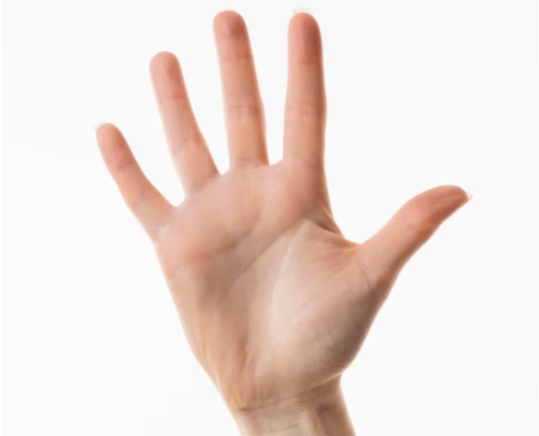 håndlæsning