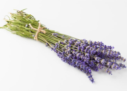 lavendel