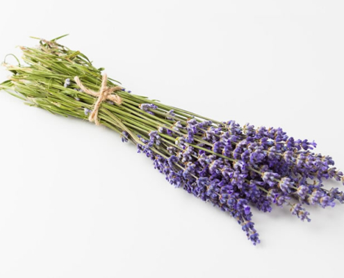 lavendel