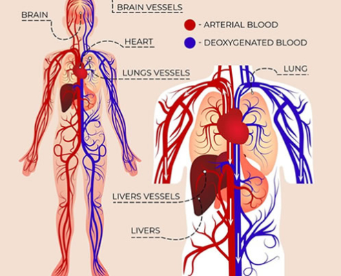Lymfesystemet