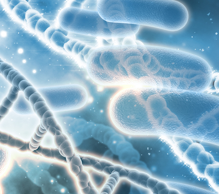 Hvordan virker probiotika