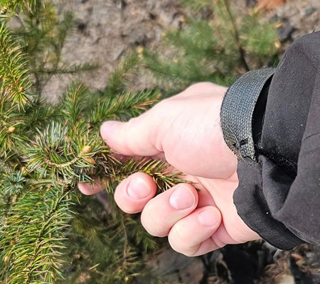 Rørnaturen og føl den
