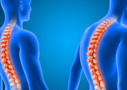 Columna rygsøjle terapi