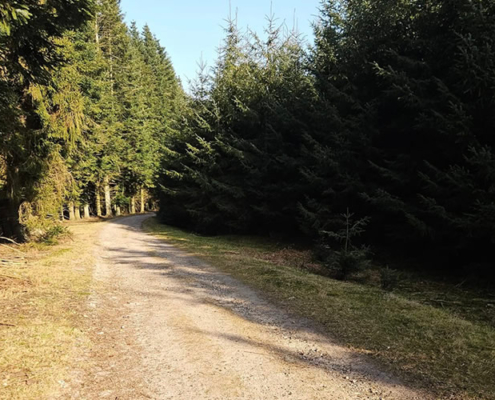 skov